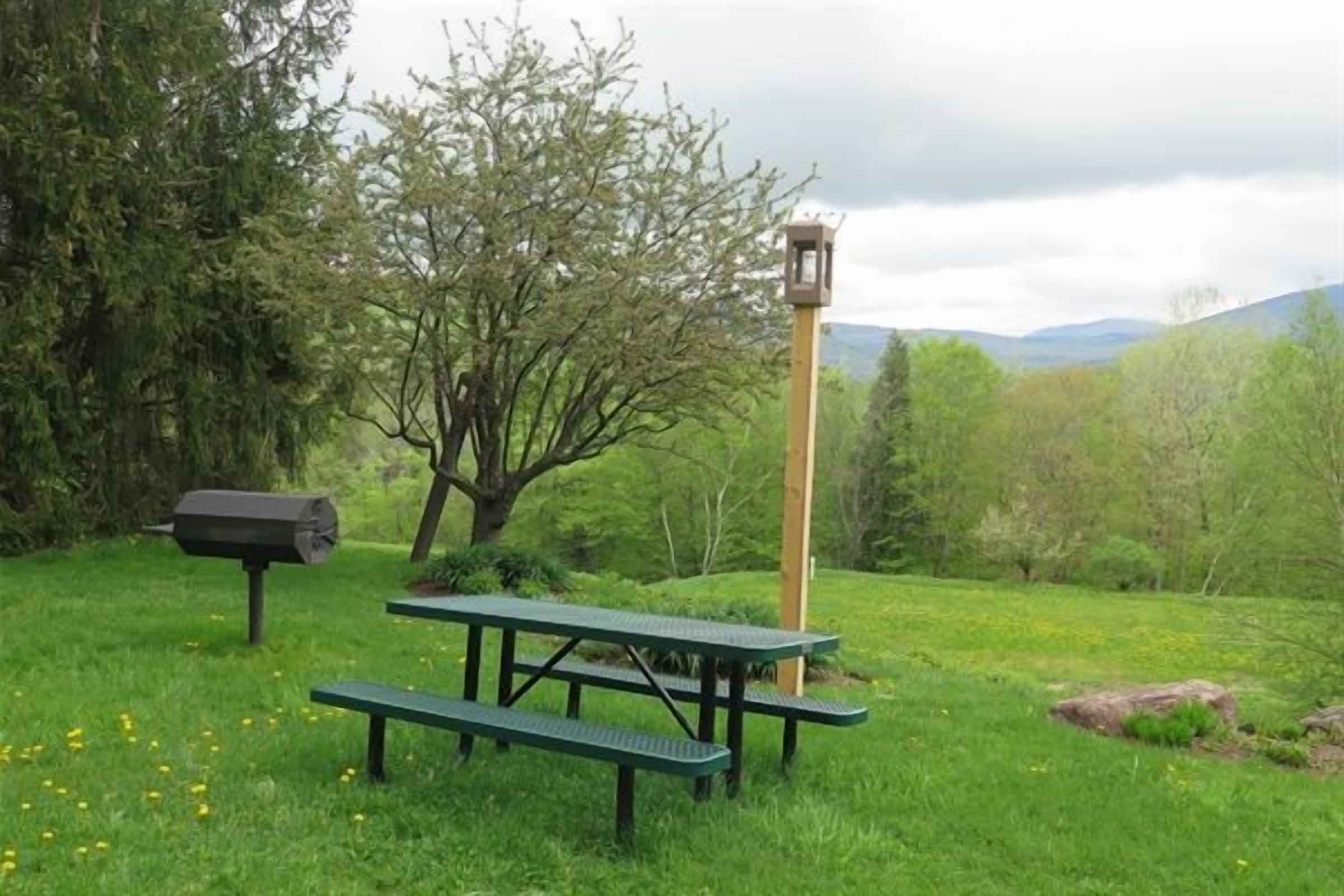 Un espace pique-nique avec une table et des bancs, un barbecue et un lampadaire, situé dans un champ herbeux, avec des arbres et des collines en arrière-plan.