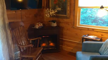 Smart TV, fireplace, books