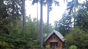 A wooden cabin surrounded by a well-maintained lawn and a stone pathway leading to it.