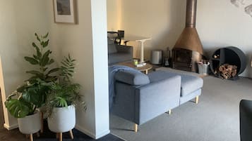 Smart TV, chimenea, Netflix, libros