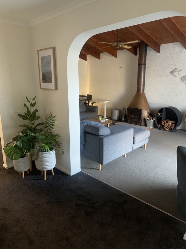 Smart TV, chimenea, Netflix, libros