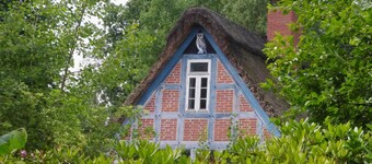 Weidenhoff - Holiday apartment