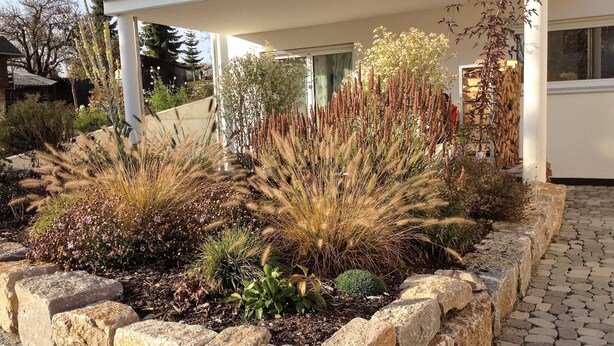 Un espace paysager aménagé en jardin, avec différentes espèces de plantes et une bordure en pierre.
