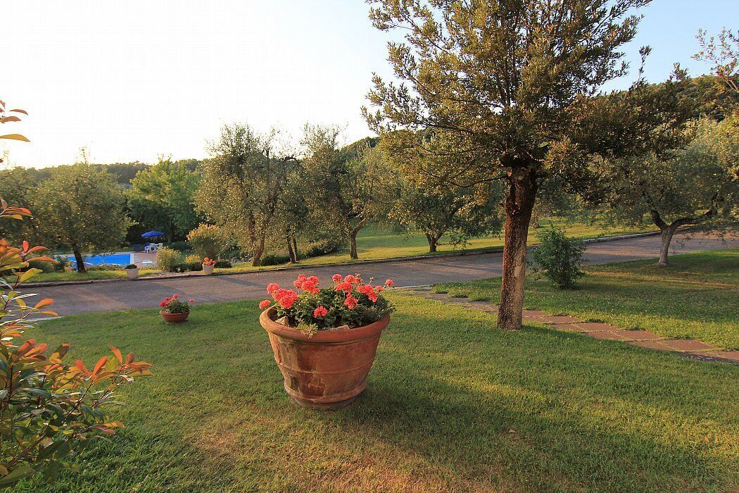 A grassy area with a large terracotta pot containing red flowers, a tree, and a paved path.
