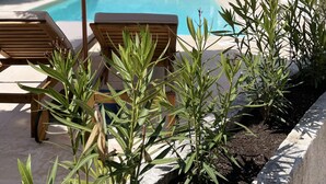 Seasonal outdoor pool - Villa Paradis (Roquebrune-sur-Argens)
