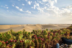 A desert landscape with sand dunes and cacti.
