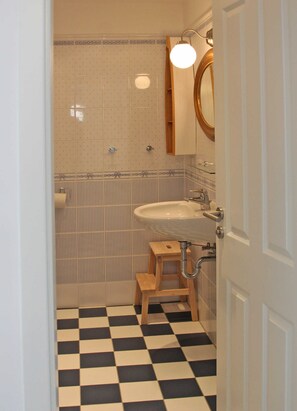 Shower, hair dryer