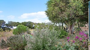 Een tuin met verschillende planten en bomen, een stenen muur en een heldere lucht.