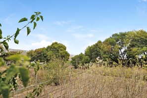 Property grounds - Holiday Apartment 'Casa Inti' with Sea View, Terrace & Shared Garden (Granadilla de Abona)