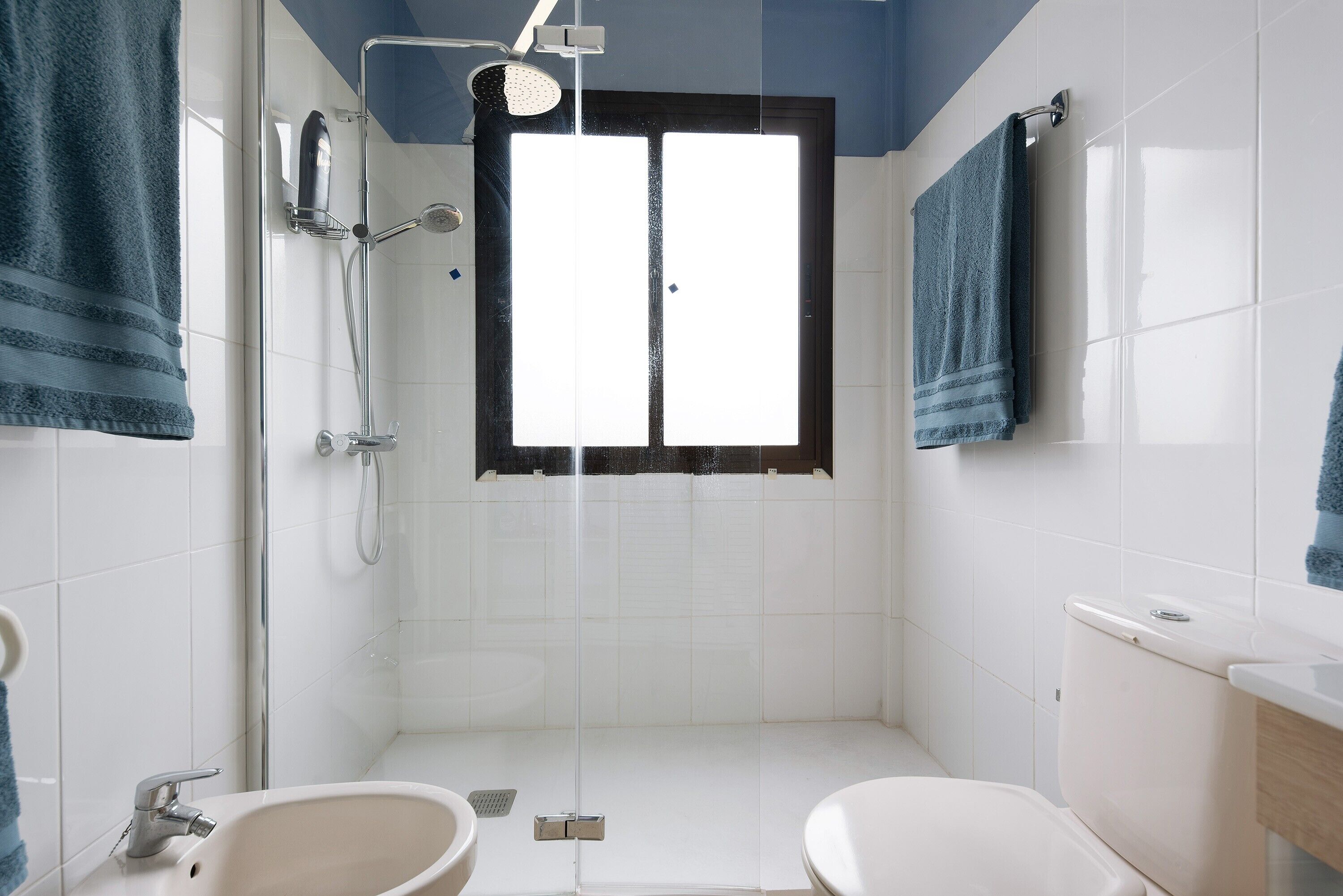 Shower, hair dryer, towels