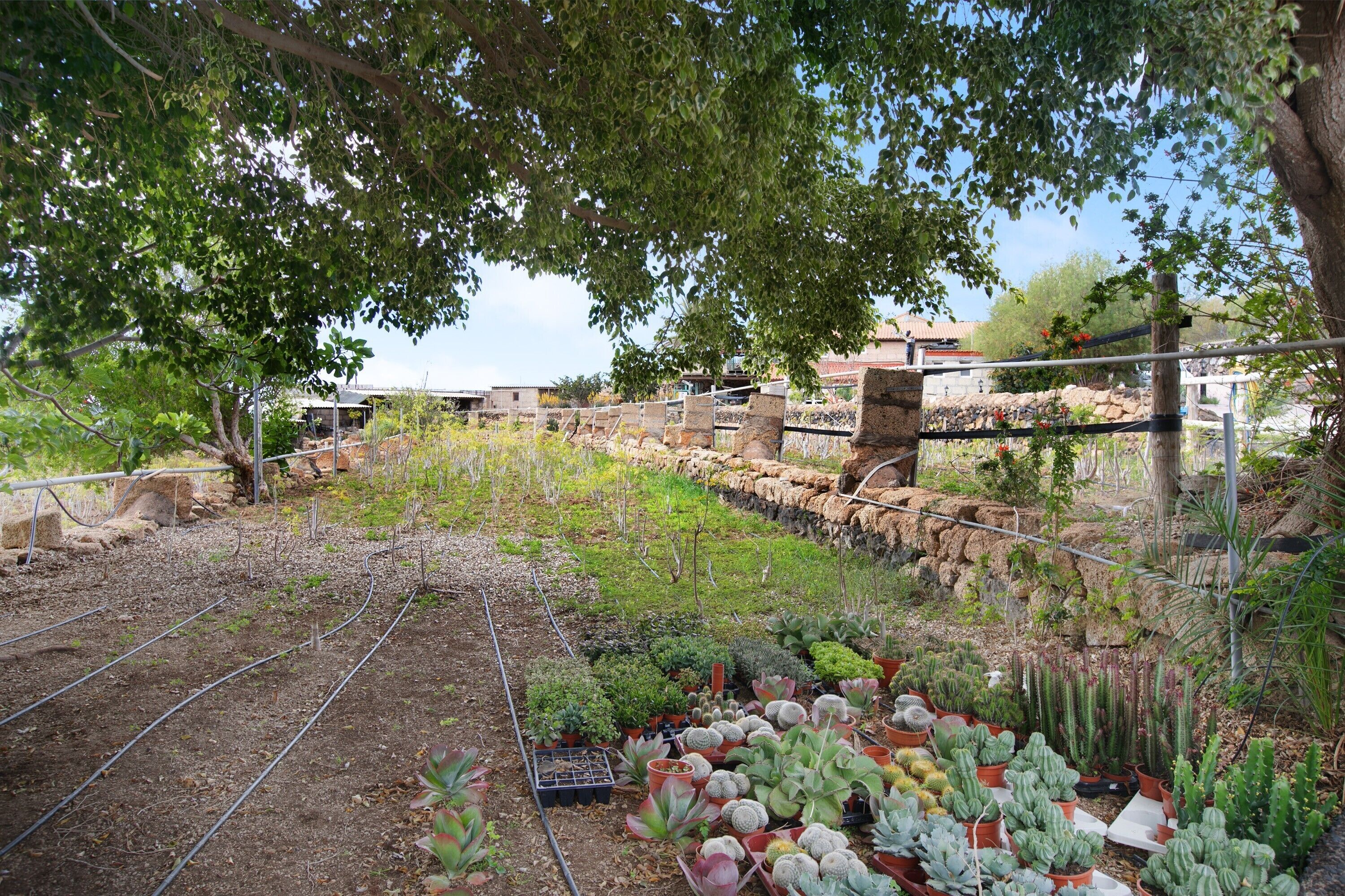 Terrein van de accommodatie