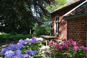 Immagine non classificata, 4 di 32, pulsante