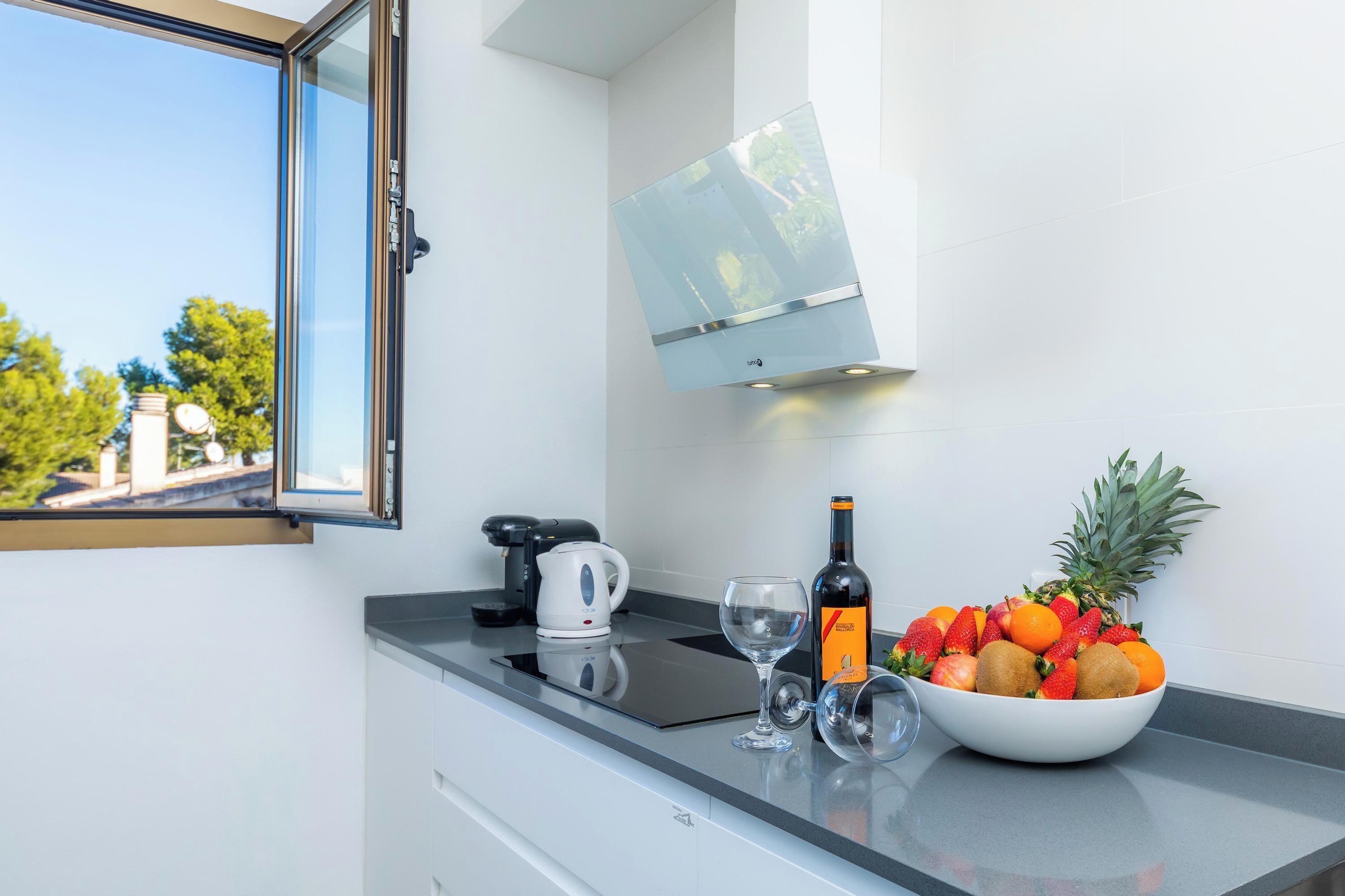 Frigorífico, microondas, horno y placa de cocina