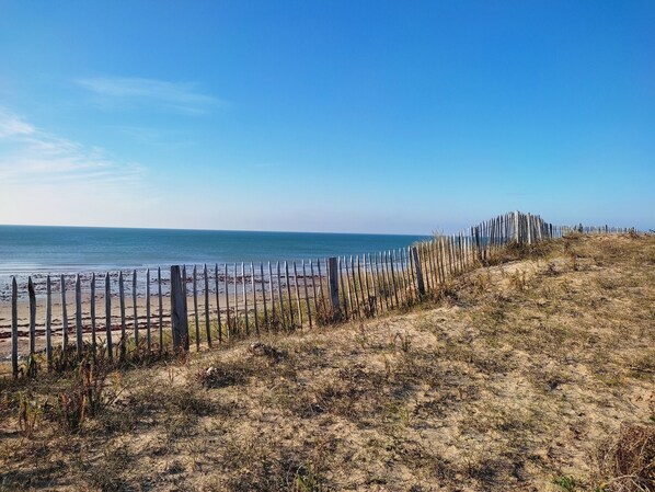 Playa en los alrededores 