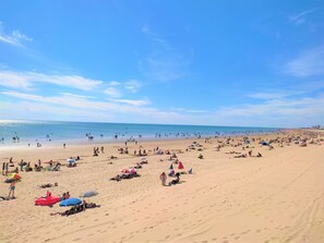 On the beach