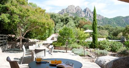 Villa 8 persons with large swimming pool Conca Corse du sud