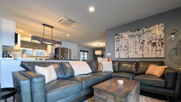 Télévision, cheminée, espaces bureaux