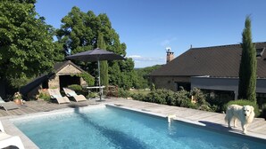 Une piscine avec des chaises longues et un chien à proximité.