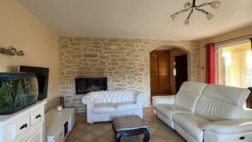 Smart TV, fireplace, table tennis, books