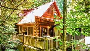 A cabin with a balcony, surrounded by dense forest. - Book for fall now! Enjoy our hot tub and deck! (Gatlinburg)