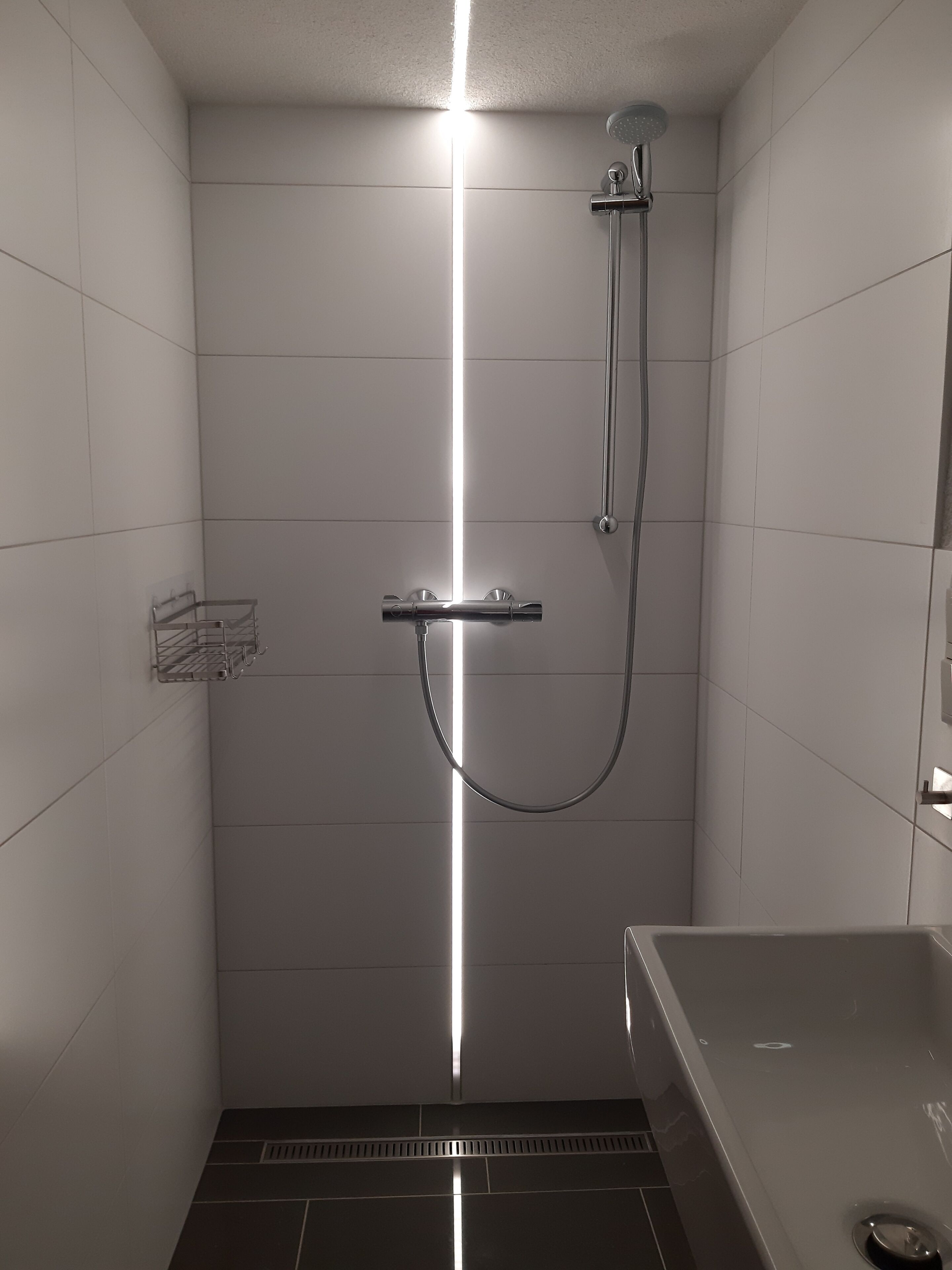 Ducha, secador de pelo, toallas y papel higiénico