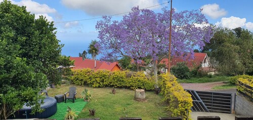 La Villa Freshness in the maido