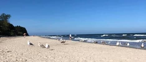 海滩