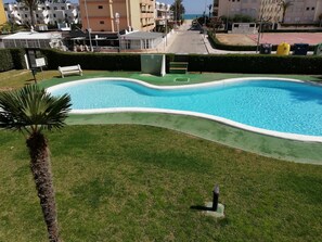 A swimming pool with a curved edge, surrounded by a well-maintained lawn and a palm tree.