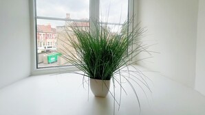 A potted plant on a windowsill with a view of buildings outside. - Anstey Heights - Apartment 4 - Hopewell (Easton)
