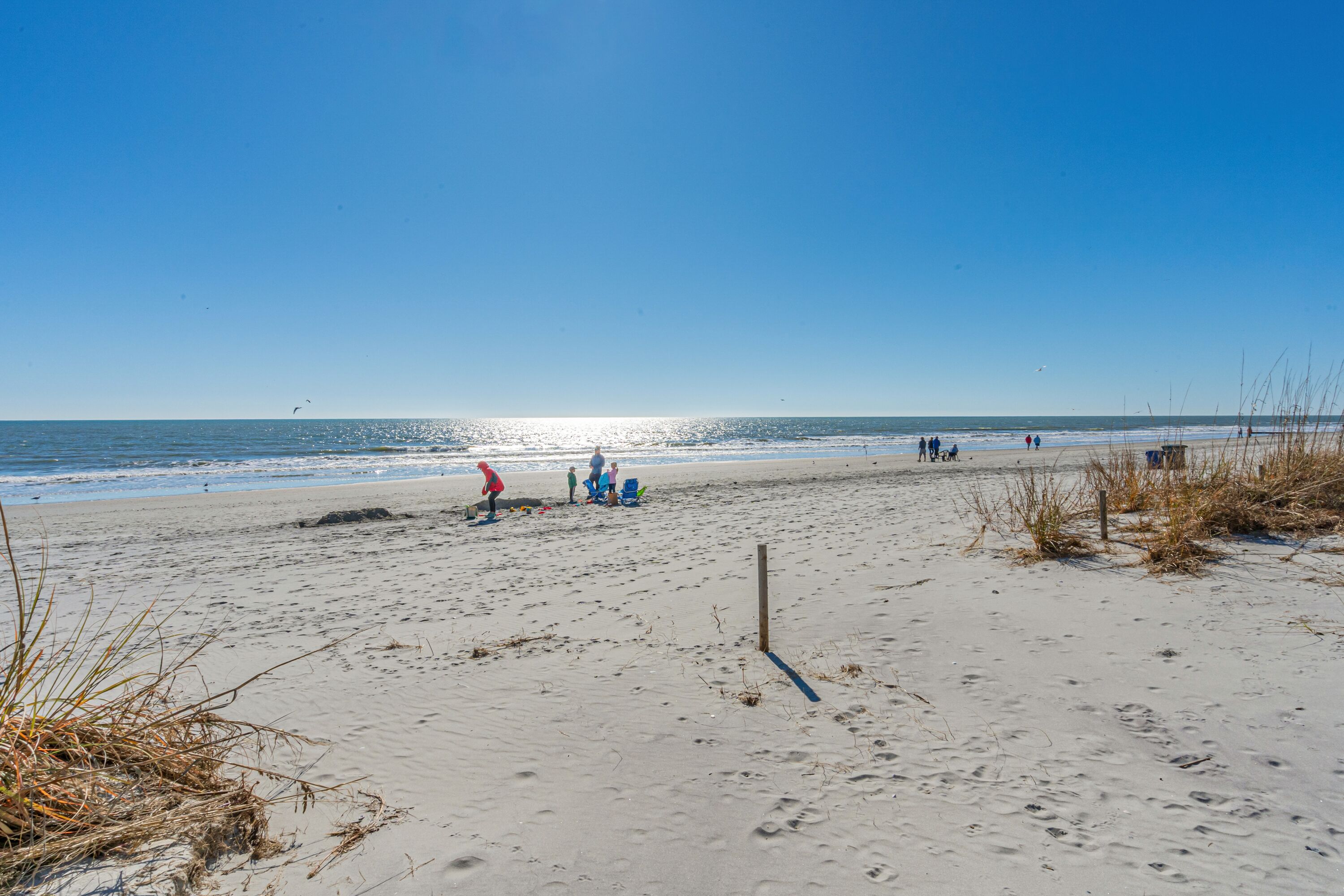 A sandy beach with footprints and sparse vegetation.