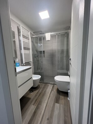 Dusche, Haartrockner, Bidet, Handtücher