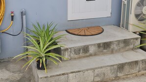 Una entrada de concreto con una puerta blanca, una planta pequeña en maceta y un felpudo.