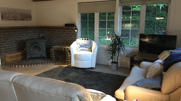 TV connectée, cheminée