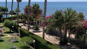 Ein Pool mit geschwungener Kante, umgeben von Palmen und Blick aufs Meer.
