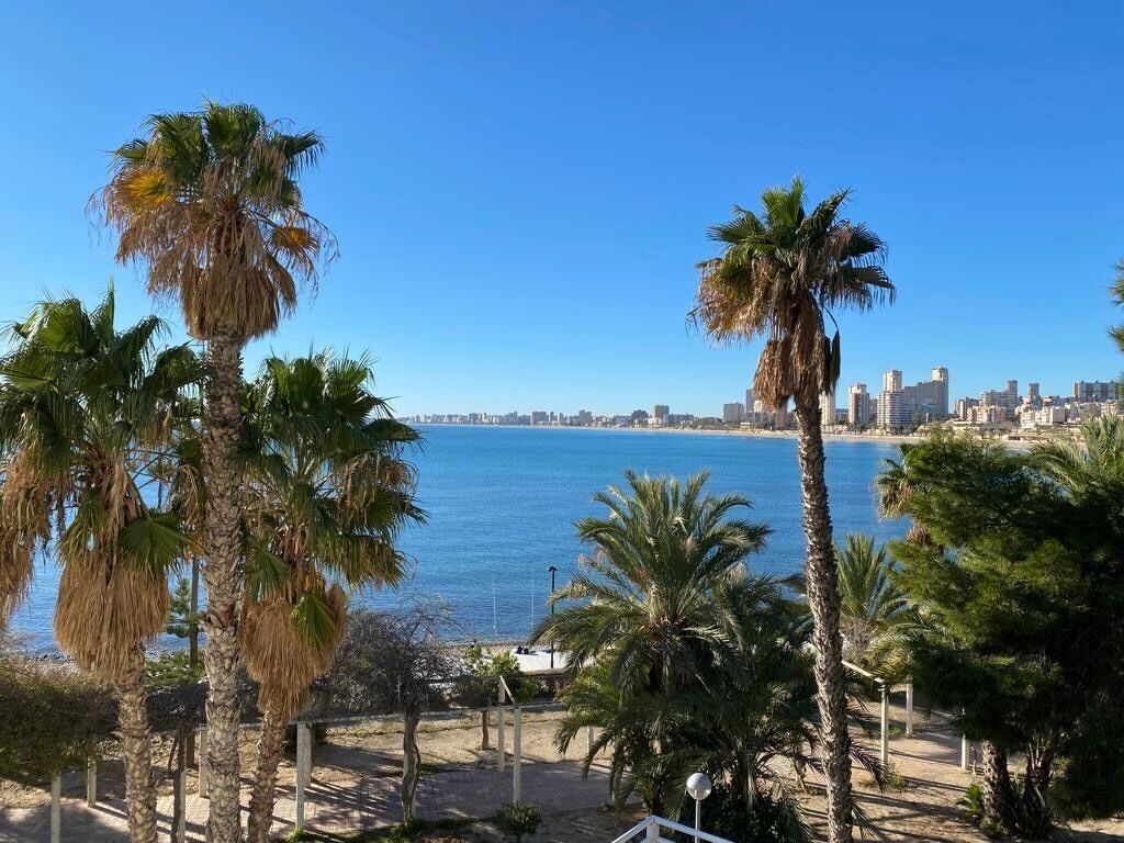 A coastal cityscape with palm trees and a clear blue sky.