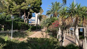 Ein Weg, der von üppiger Vegetation und Palmen gesäumt wird und zu einem Gebäude mit blau-weißer Fassade führt.