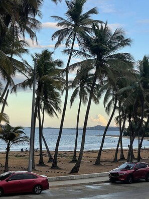 A beach with palm trees and a red car parked on the side of the road.