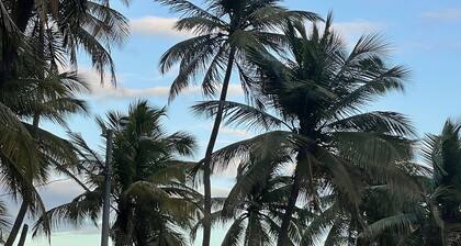 Vistas Del Mar Cozy apartment with ocean view, 5 minutes to beaches