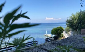Property grounds - Paul Seafront House (Messongi corfu)