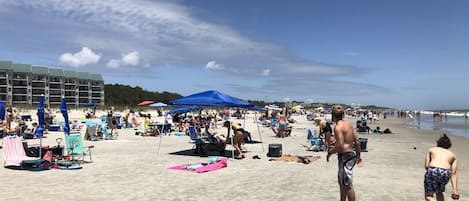 Accommodatie ligt op het strand, ligstoelen