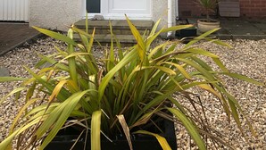A two-story residential building with a white front door, a number plaque, and a small garden area with plants. - St. Andrews House available for the Open (St Andrews)