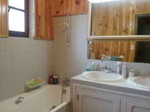 Bathtub, hair dryer, toilet paper