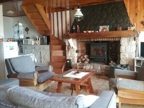 TV, fireplace, books