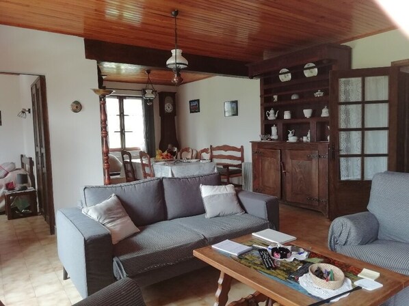 TV, fireplace, books