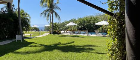 Zona junto a la piscina con vista despejada al océano, una palmera y un área de descanso cubierta con sombrillas.