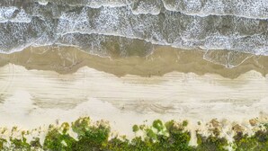 An aerial view of a beach with waves crashing onto the shore, sandy beach, and green vegetation at the water's edge.