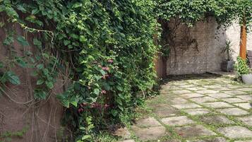 Área da propriedade