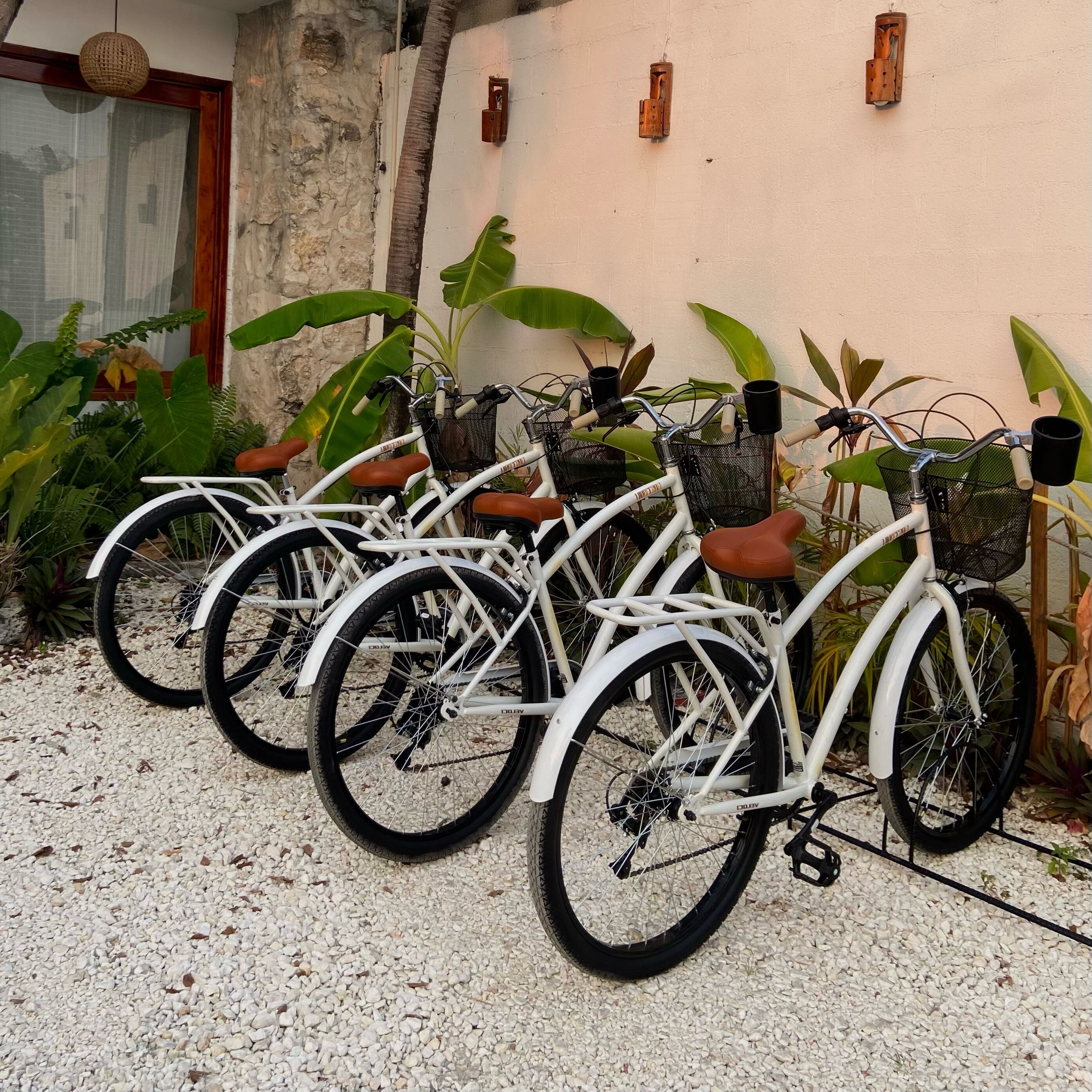 Una hilera de bicicletas blancas con asientos marrones y neumáticos negros, estacionadas sobre un terreno de grava frente a una pared con una puerta de madera y una lámpara colgante.