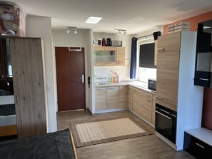 Fridge, microwave, oven, stovetop - Beautiful apartment with fortress view (Würzburg)