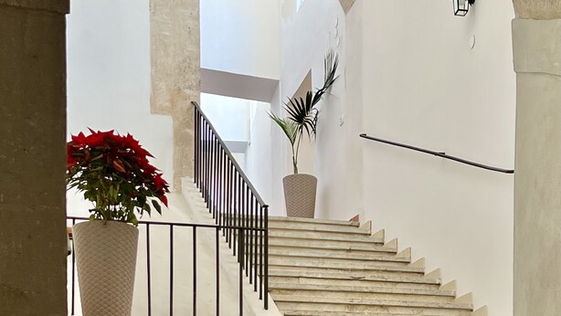 A staircase with a handrail, leading up to a landing with a potted plant and a wall-mounted light fixture. - Suite Amalfitania, Ortigia, Syracuse. (Siracusa)